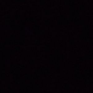 Meet your Posher, Benny